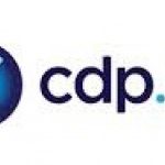 CDP.pl wychodzi z internetu, zaczyna kampanię plakatową