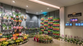 Jak oświetlono Store of the Year 2017?