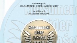 Konsumenci wskazują liderów w branży