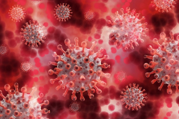 Zdrowie, BIZNES - Dokładnie rok temu został potwierdzony pierwszy przypadek wirusa COVID-19 w Polsce. Pandemia miało poważny wpływ na gospodarkę, wiele branż nie może działać już tak jak wcześniej. Jednak część firm dostosowała się do nowych warunków. wyniku czego powstała tzw. "branża ANTYCOVID"., „Branża ANTYCOVID” walczy z wirusem. Mija rok od pierwszego zakażenia w Polsce Zdrowie, BIZNES - Dokładnie rok temu został potwierdzony pierwszy przypadek wirusa COVID-19 w Polsce. Pandemia miało poważny wpływ na gospodarkę, wiele branż nie może działać już tak jak wcześniej. Jednak część firm dostosowała się do nowych warunków. wyniku czego powstała tzw. "branża ANTYCOVID".
